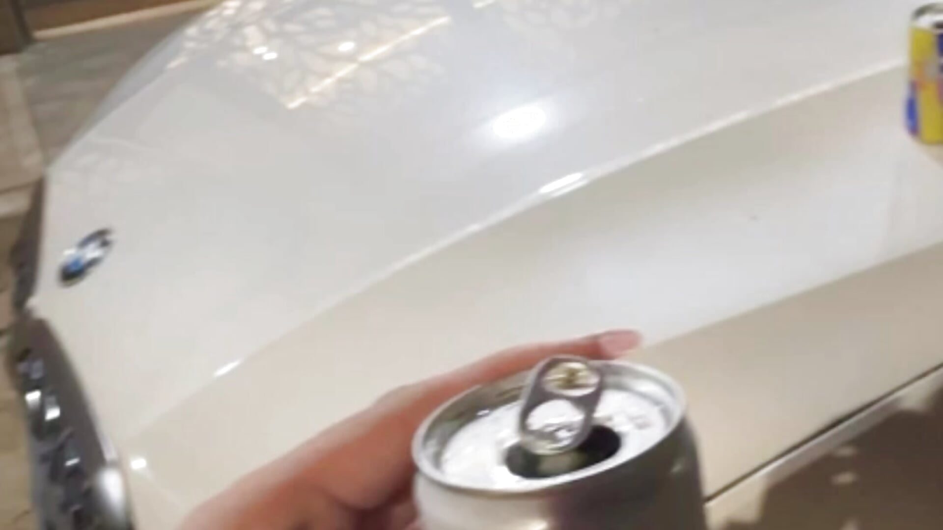 db12d1552a7a4f93a1dbe46fe6fd4919 - video by dannasaenz40 cam model