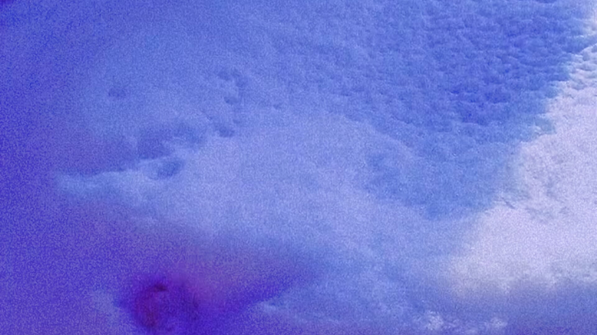 trim,C45F977C-7B0E-4A71-B02A-0C3E7140413E - video by dannasaenz40 cam model