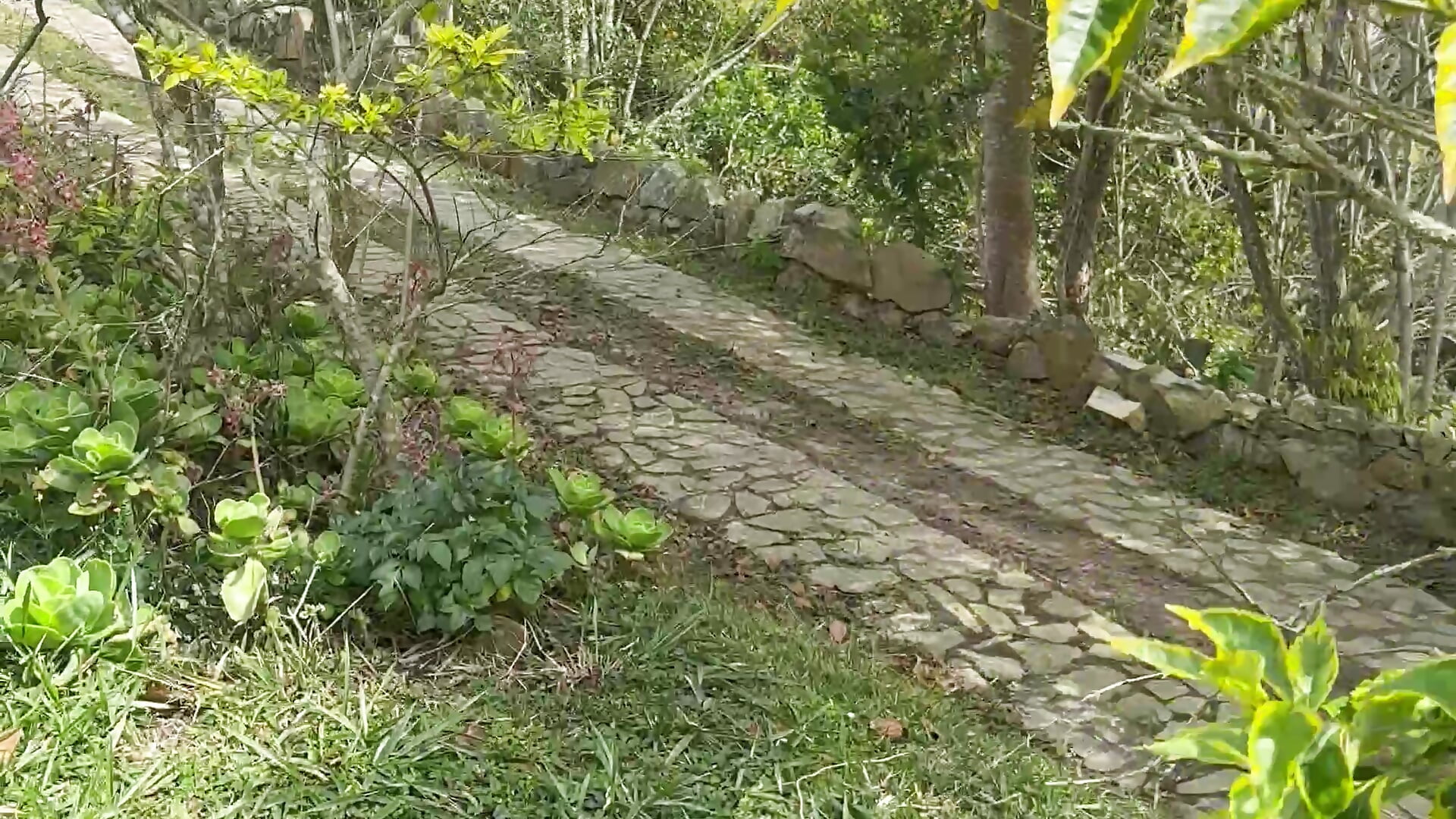 Moments - video by dannasaenz40 cam model