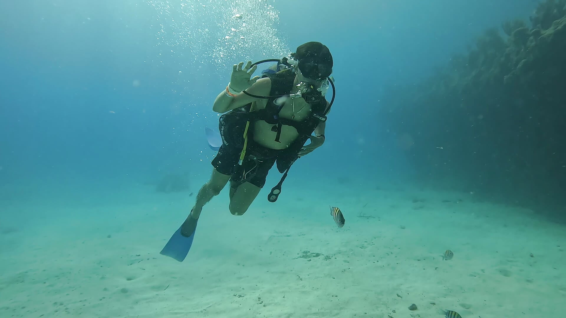 DIVING IN SAN ANDRES