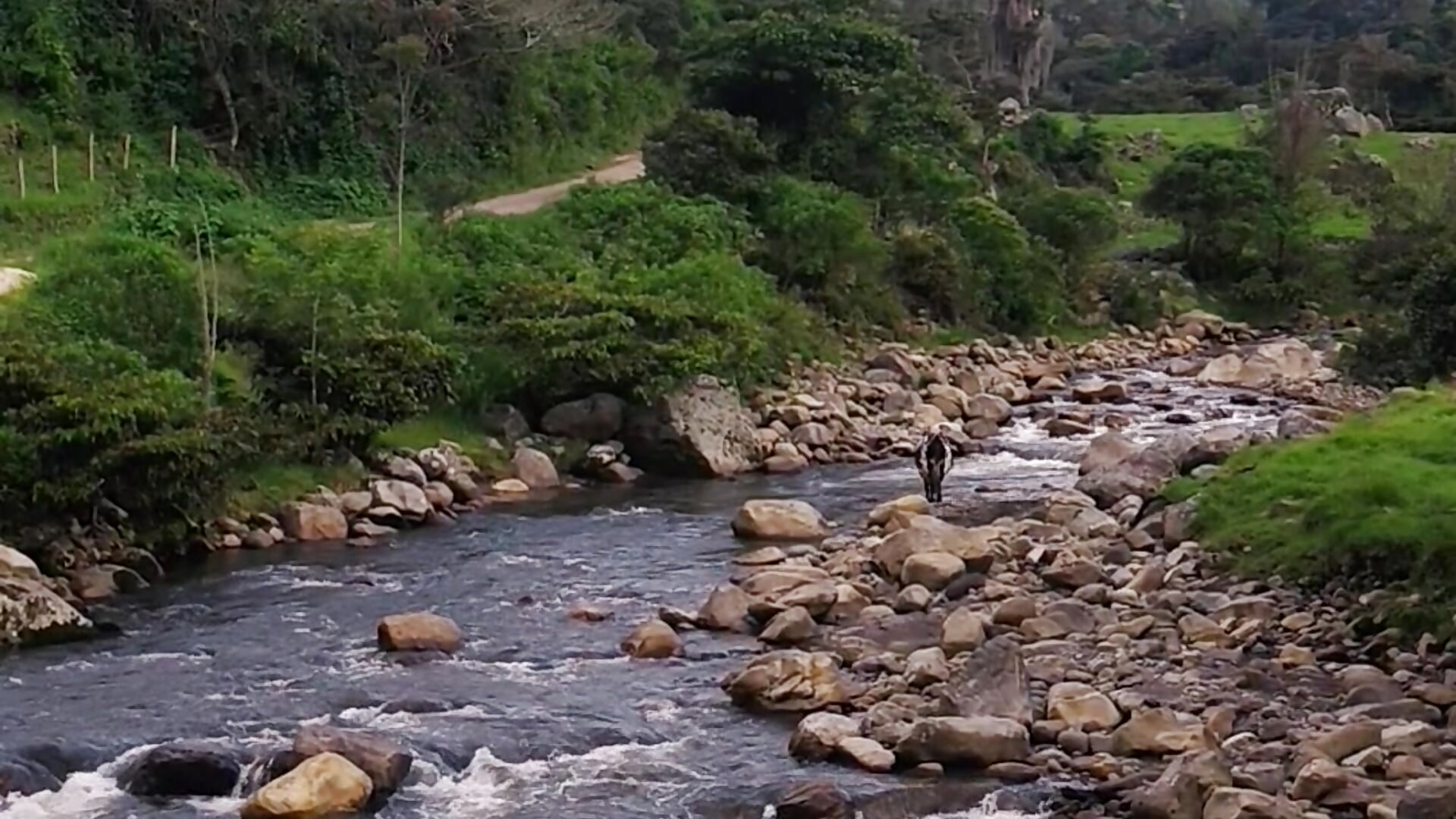 Just the river 💚 - video by alicce_moon_ cam model