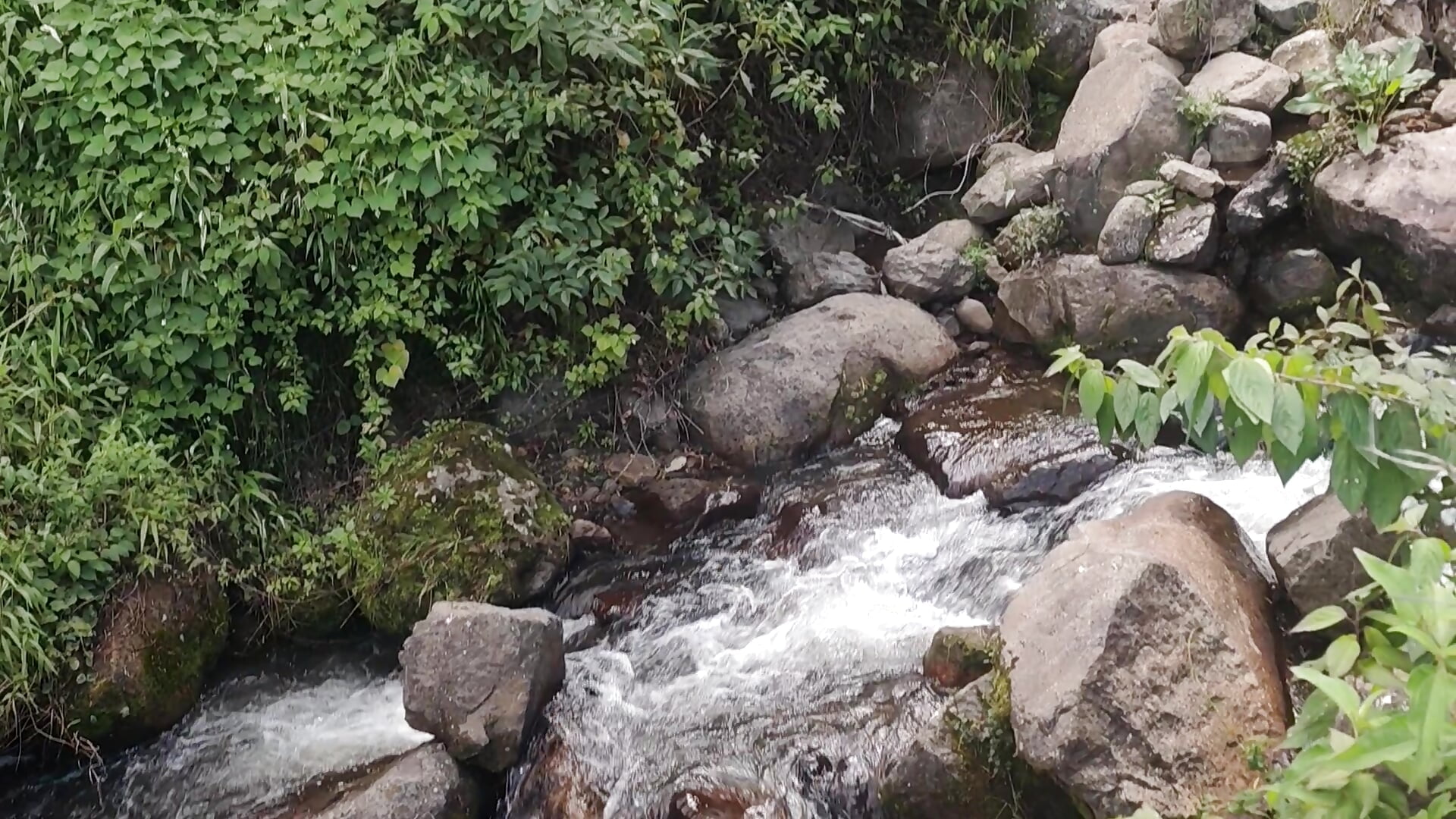 And the beautiful waterfall 💚 - video by alicce_moon_ cam model