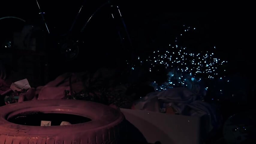 Fly Butterfly (I Would Have Taken Sorry) - video by 55crystal cam model