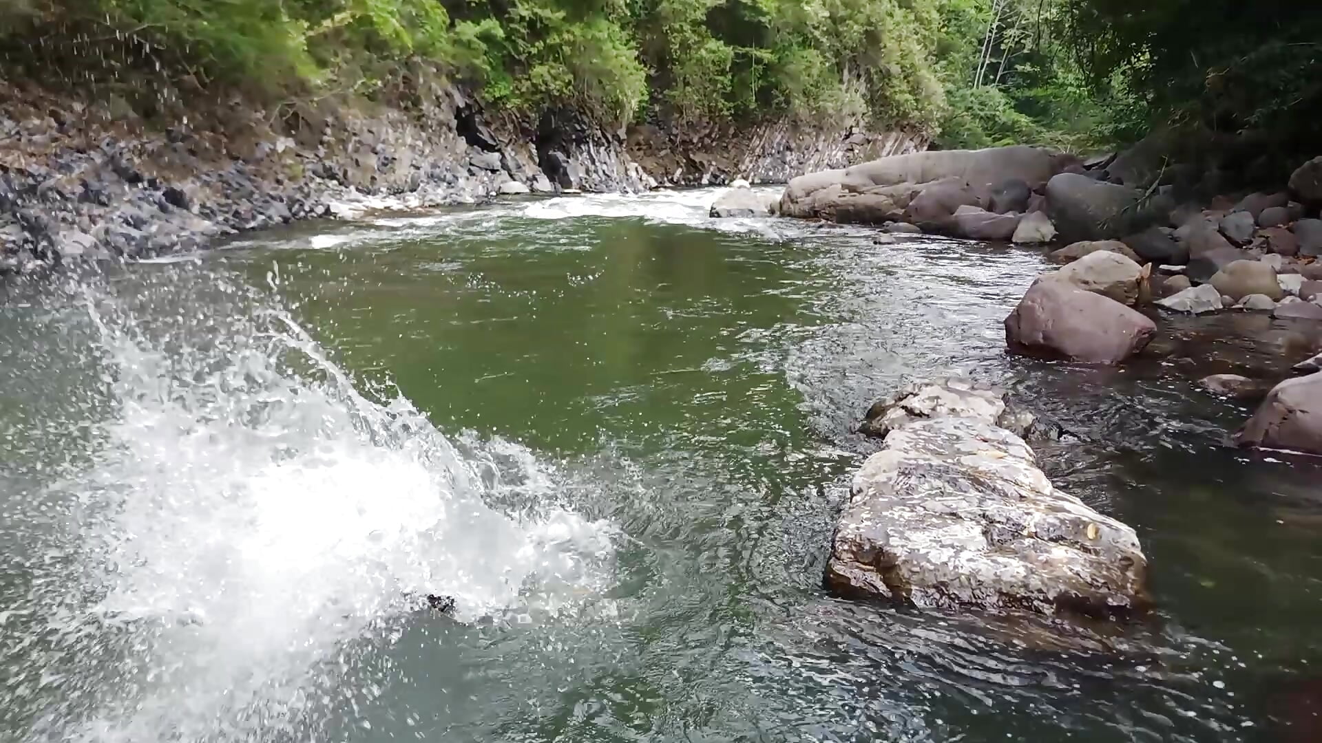 Redbeard to water - vidéo du modèle de showcams 420_redbeard