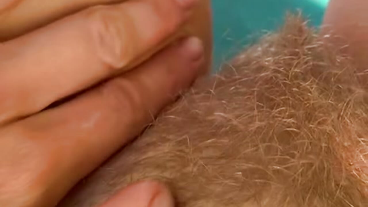 my magnificent bush - video by Dina-Light cam model