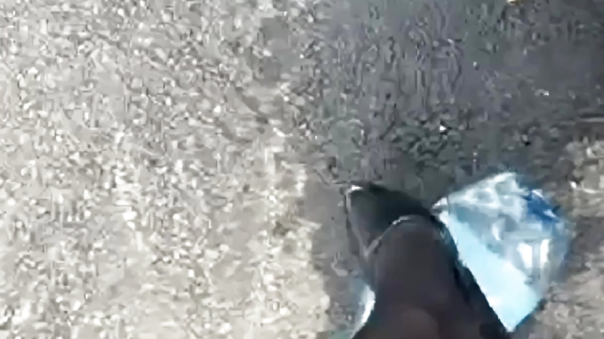 CRUSH bottle box - video by Dina-Light cam model