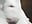 Desnudo Domi - video av adriana71 cam-modell