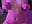 < 3 - video by elimeowy cam model