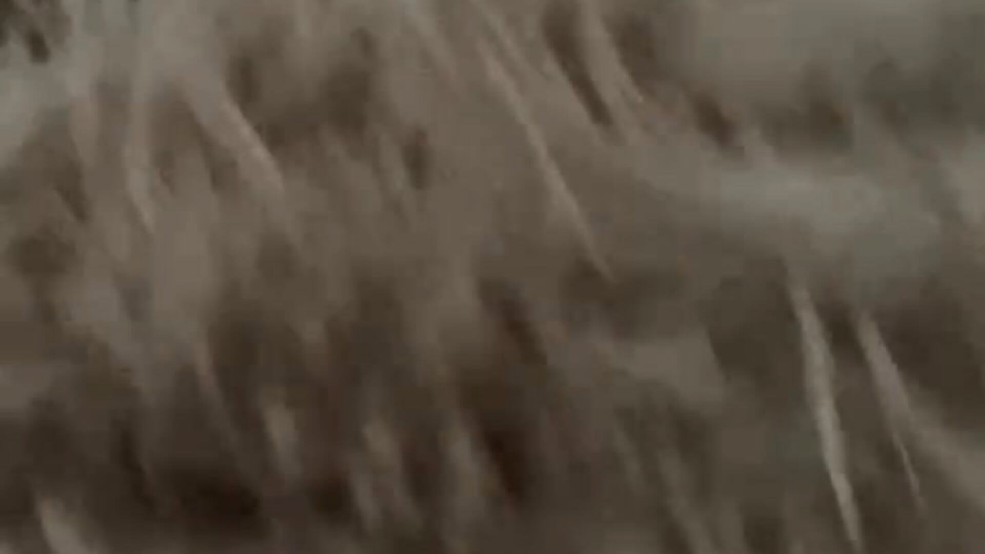 trim,8C0A00E7-2125-4F38-9DA1-957468986971 - video by Kittenpause cam model