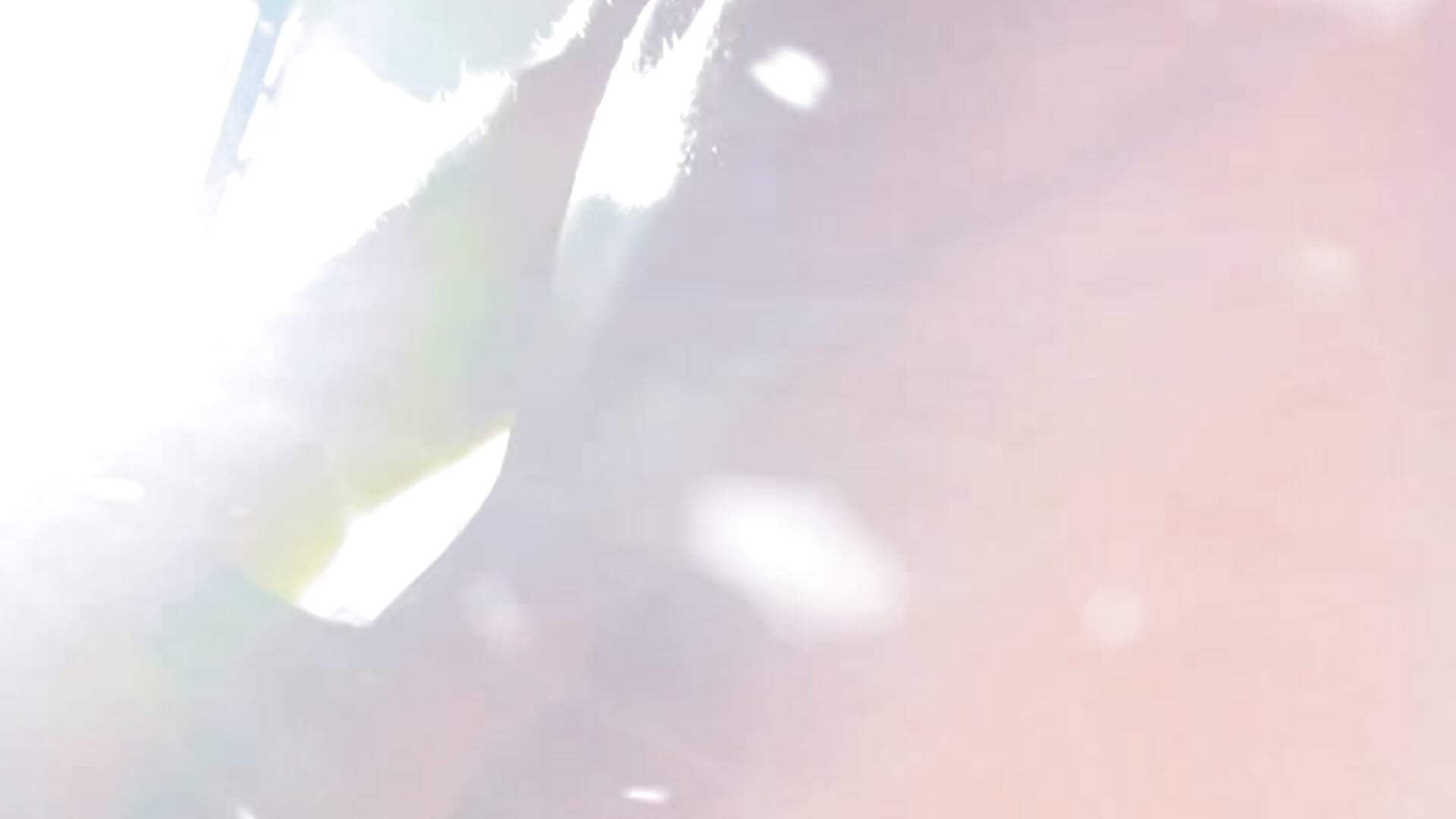 Magic – video af Raexc
