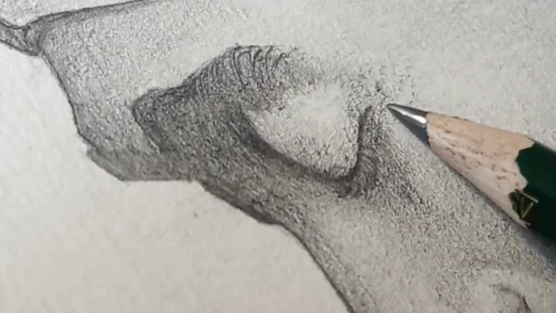 Grafito Reel - video by color_beat17 cam model