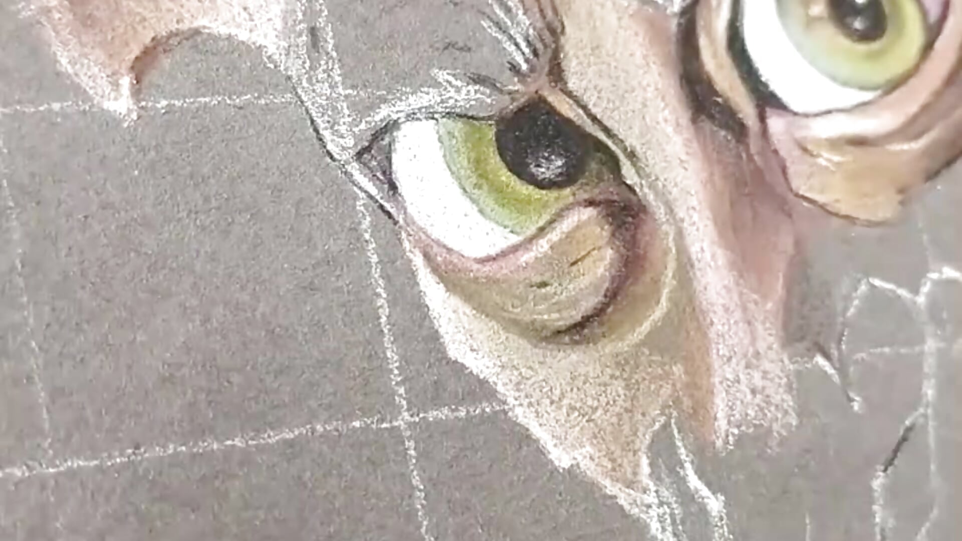 Dobby Pastel seco - video by color_beat17 cam model