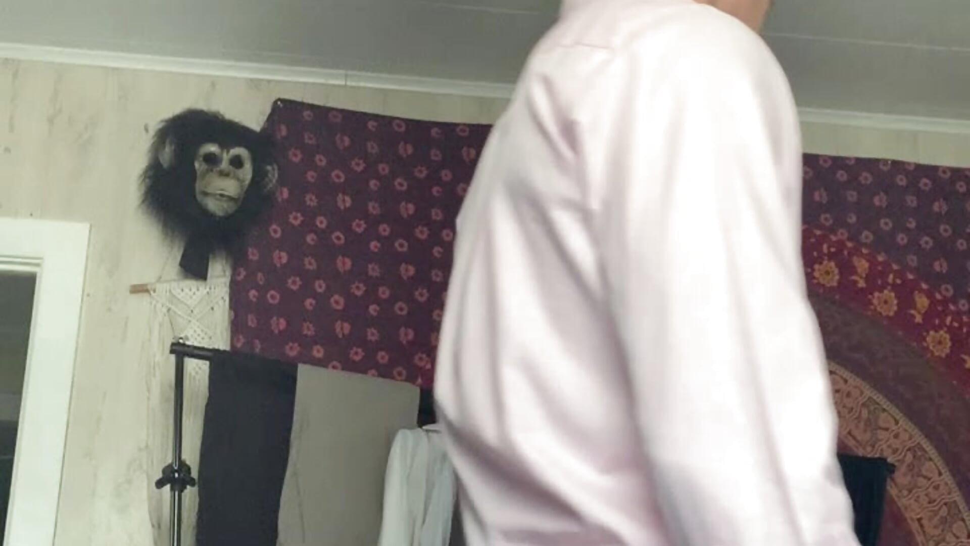 Underwear trials! Underwear for sale ! Hit my DMs! - video by wolfblazer5 cam model