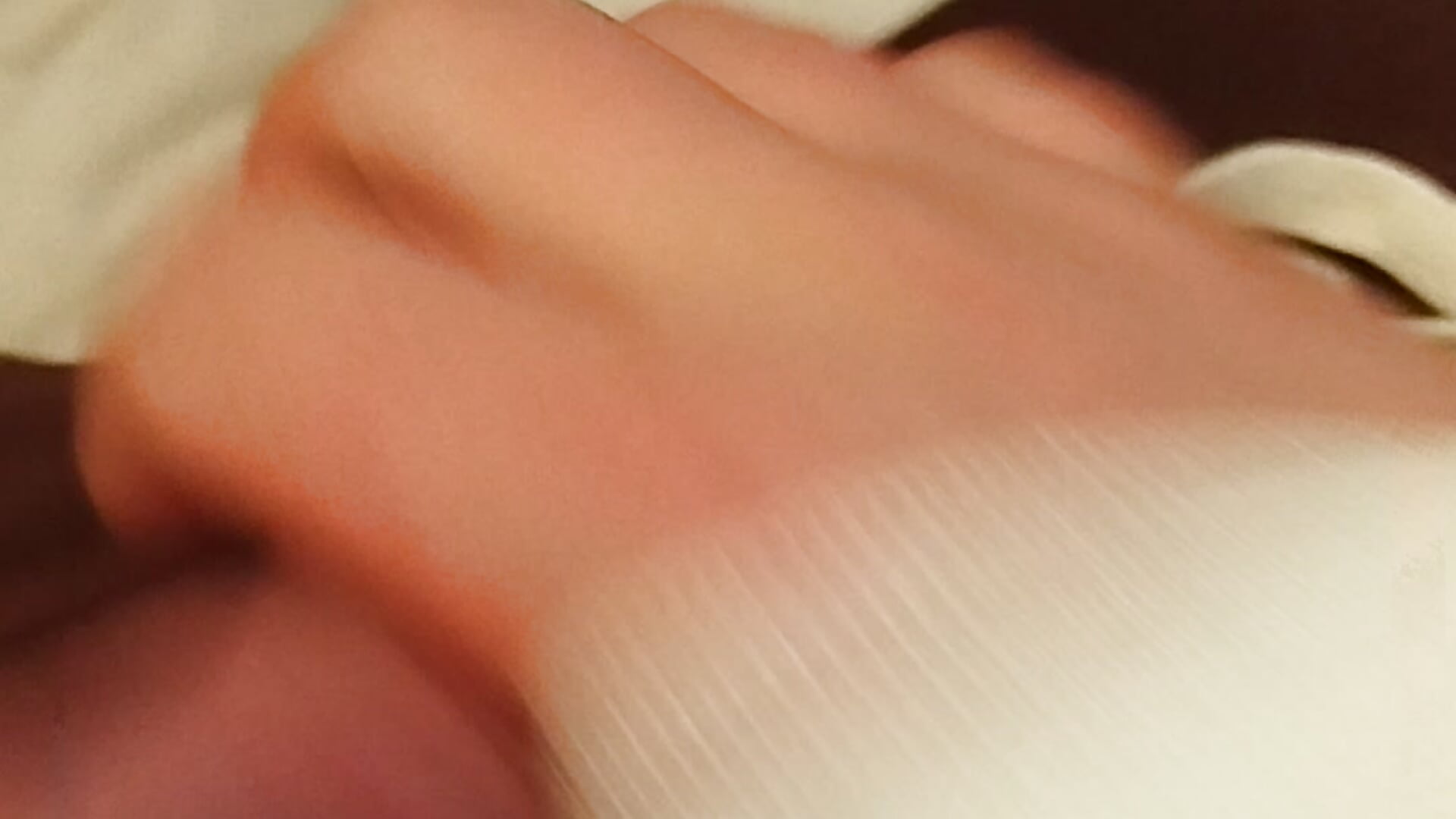 VID_202 myselffx - vídeo de la modelo de cam Bittebutt