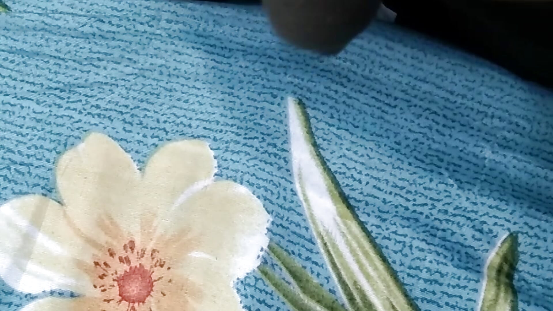 Sleeping Beauty - video by Dick_6inches_Delhi cam model