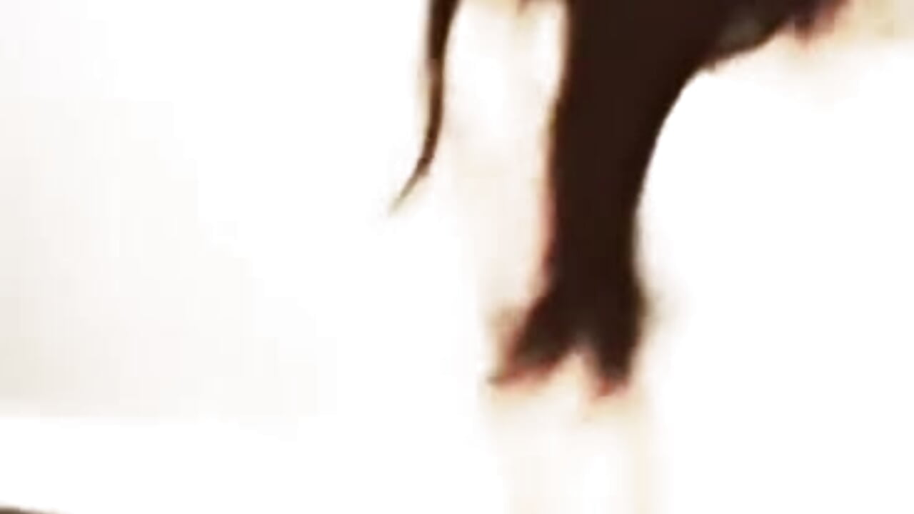 TOP TIER - video by LaylaBabyy cam model