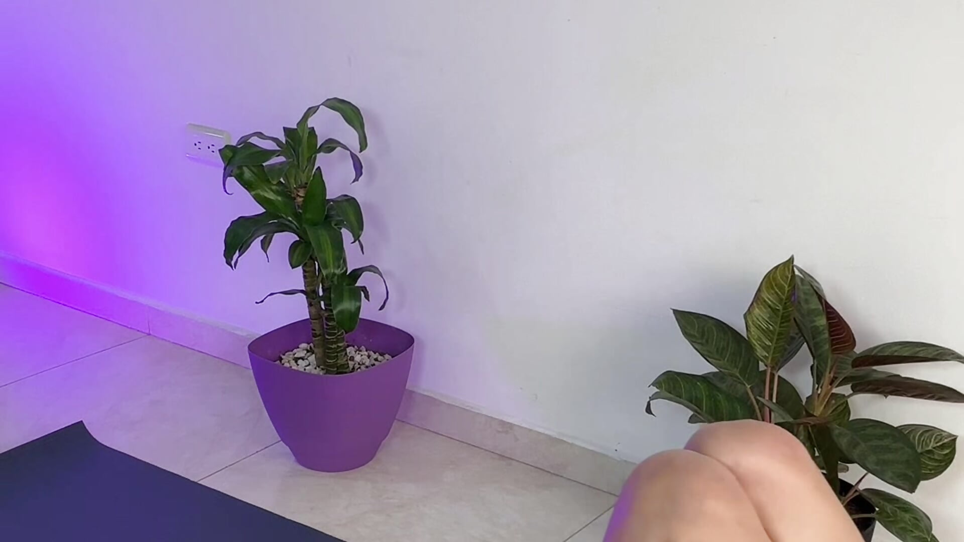 🧘‍♀️