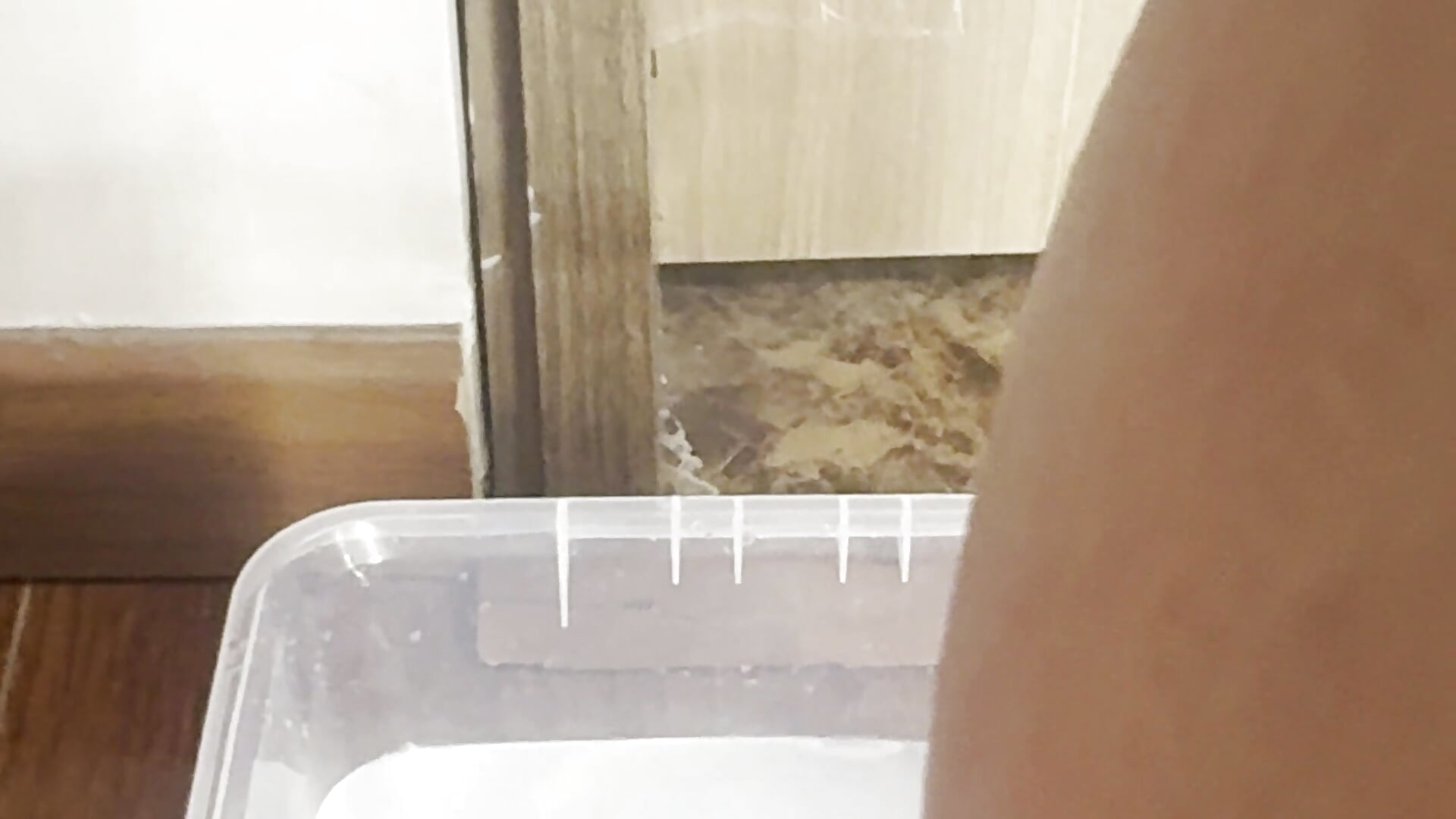 P4 - vídeo de Rebeca_jones modelo de câmara