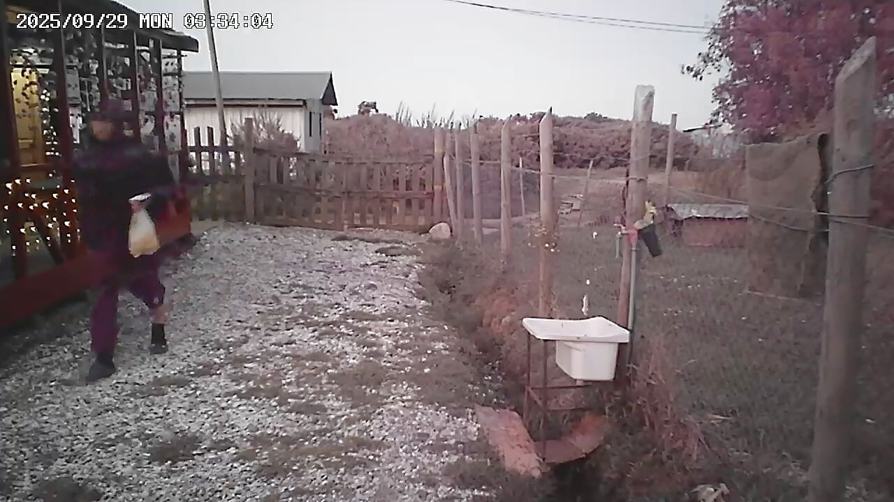 1000120620.mp4 - video by pauloandres cam model