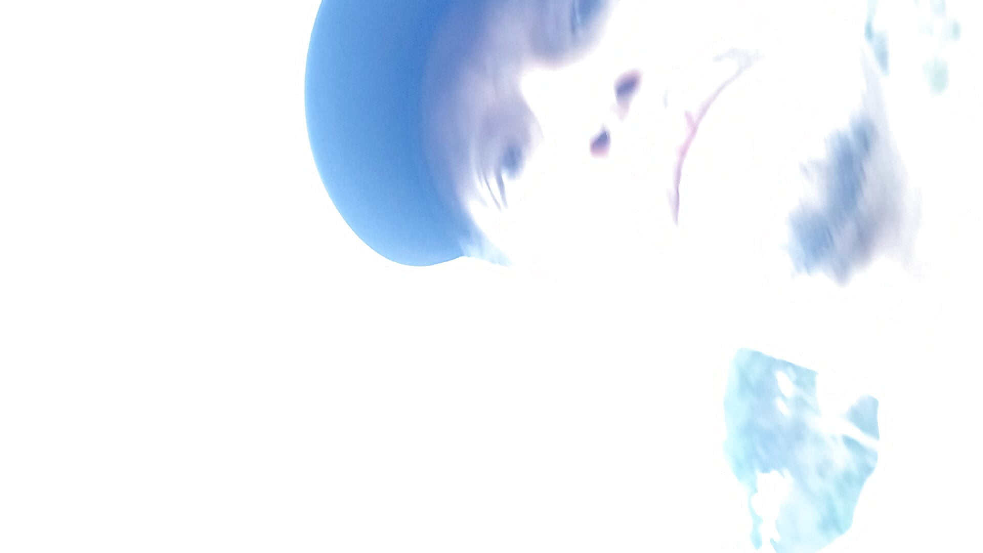 VID_20250226_193131 - video by pauloandres cam model