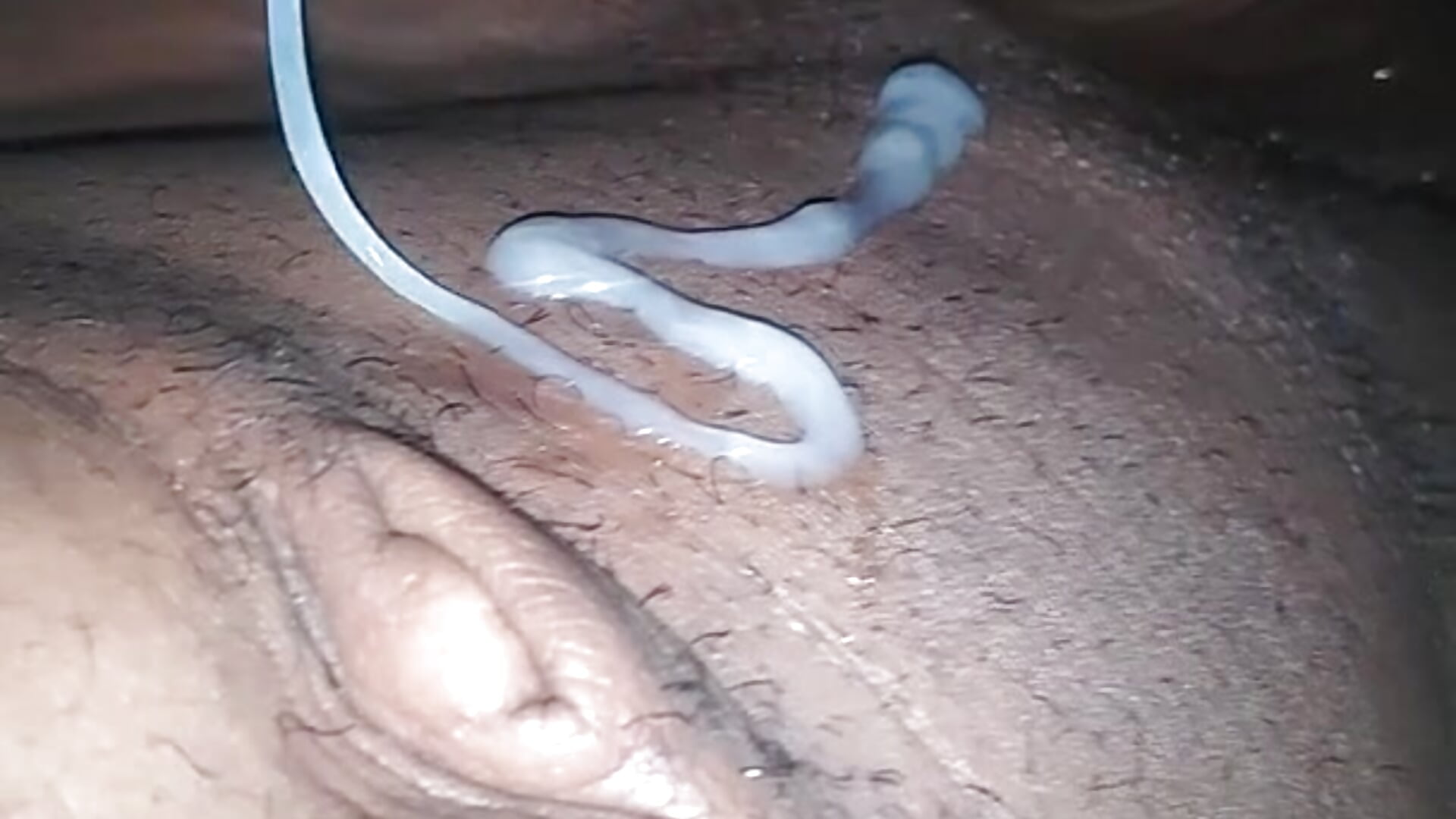 Think like a Spider! 🕸️ - ক্যাম মডেল xPrototype4x-এর ভিডিও