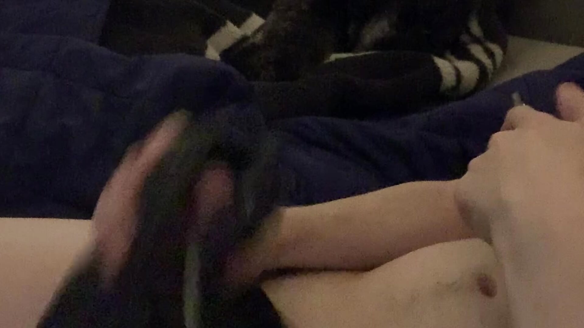 Ely n’est pas cher lui. - video by Helly069 cam model