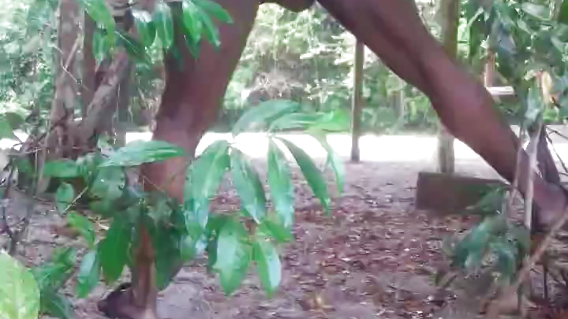 voyeur outdoor sex - vídeo de XnastyD modelo de câmara