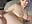 Mmm me taking that dick so good - video by FRRANNKIE cam model