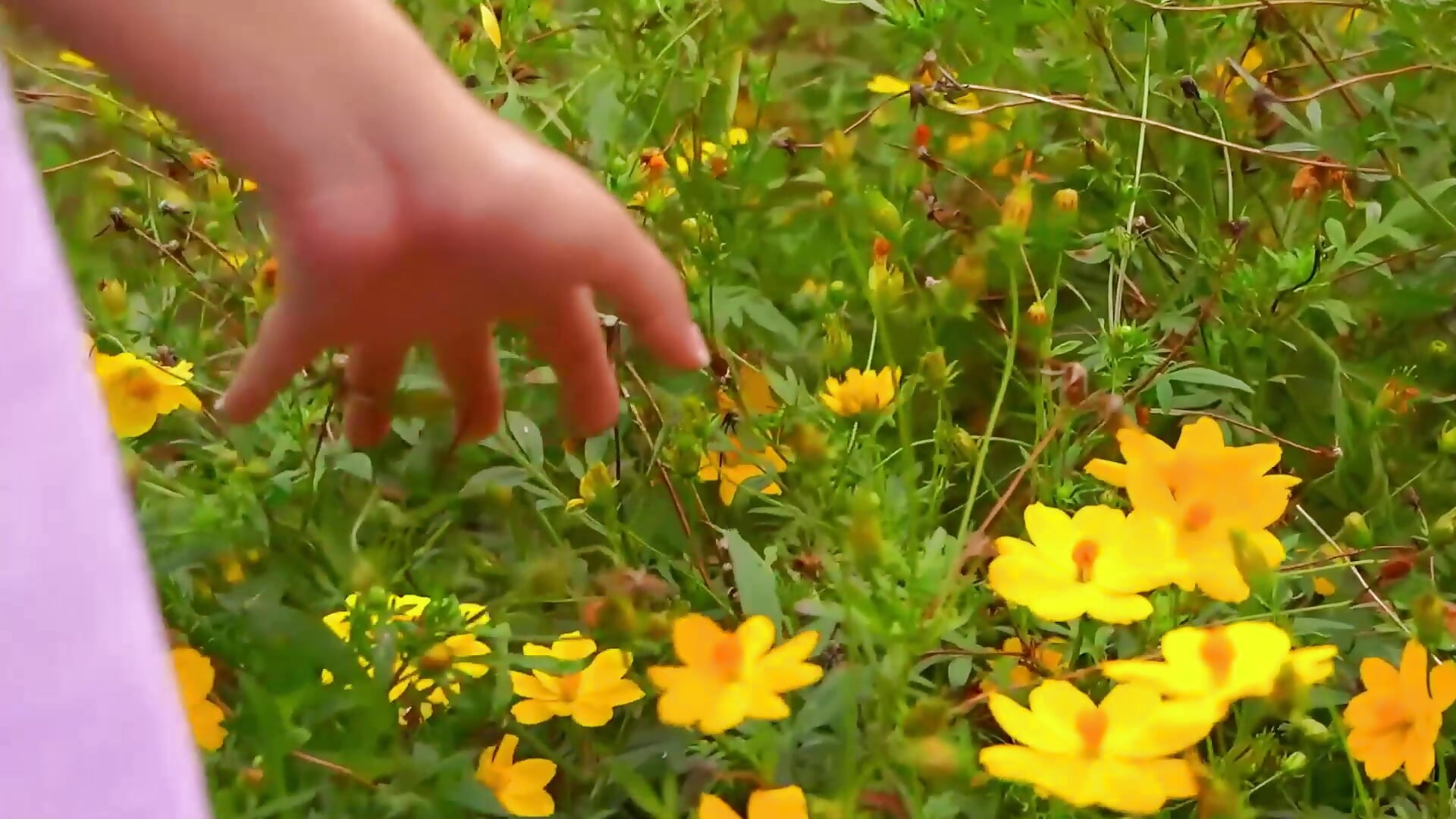 Luciana's birthday✨ - video by LucianaCarter cam model