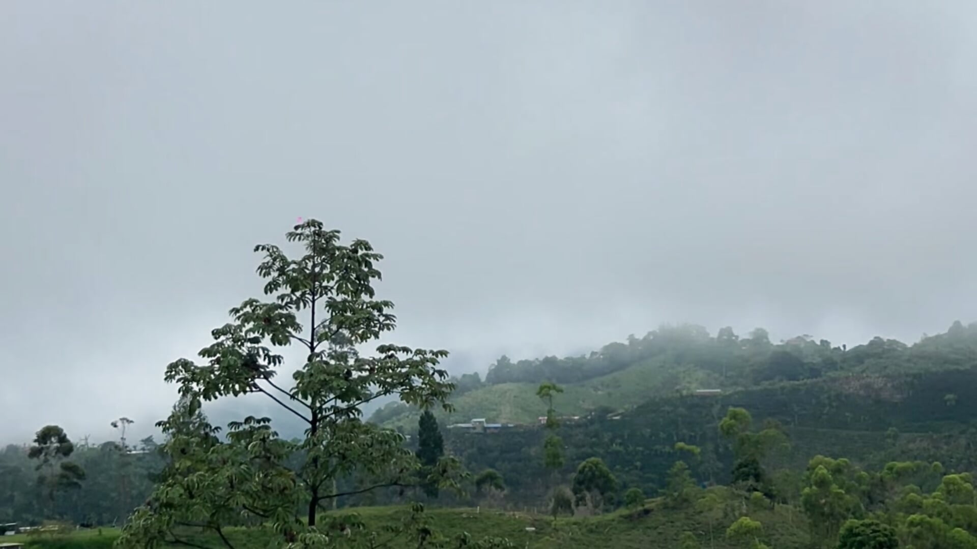 Within the Mist - video oleh model kamera Selena_G69