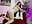 Dance on my Pantyhose - video by NebetColin cam model