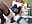 RIDING ON A TENTACLE - Vídeo de Your_Wet_Desire