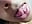 kissing dildo + domi - video by bl4ckdoll_ cam model