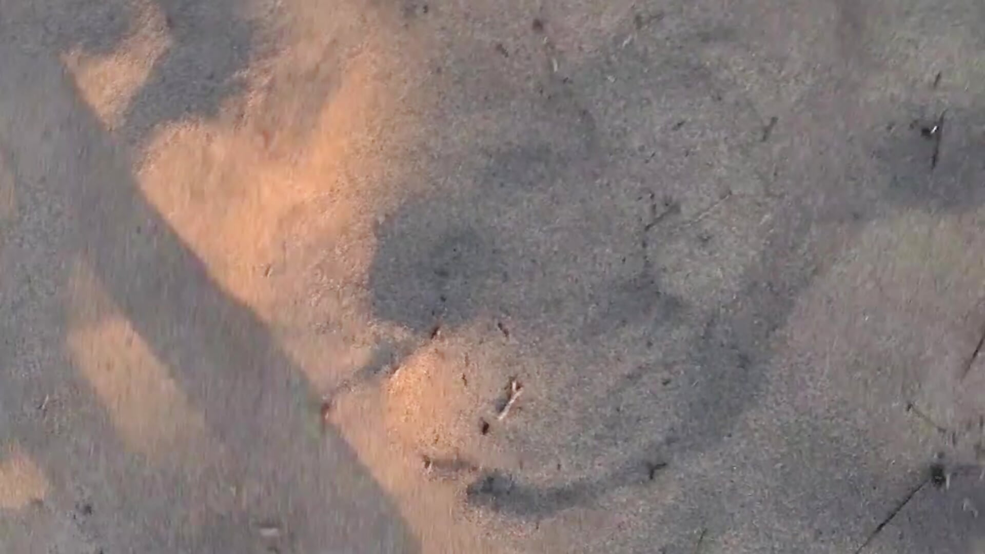 Walking naked and Cumming in Maspalomas Dunes Gran Canaria