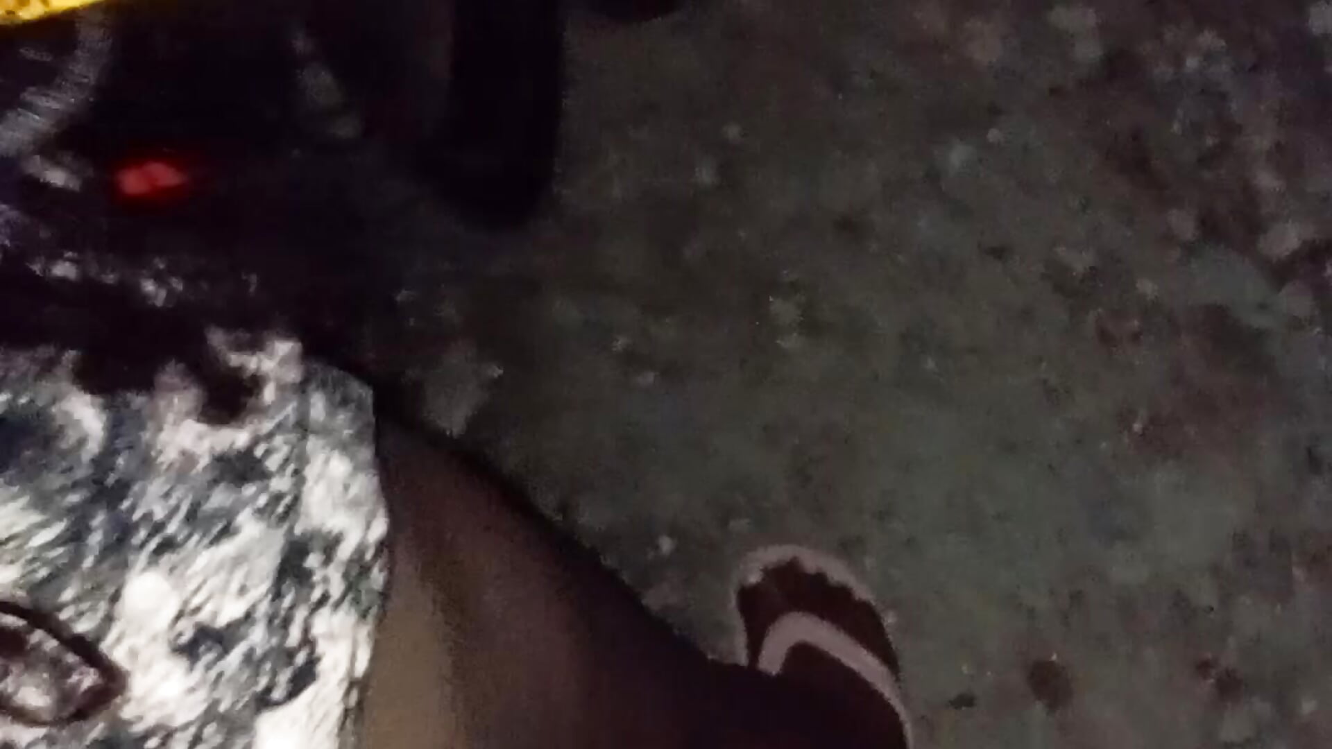 Doggy In the dark