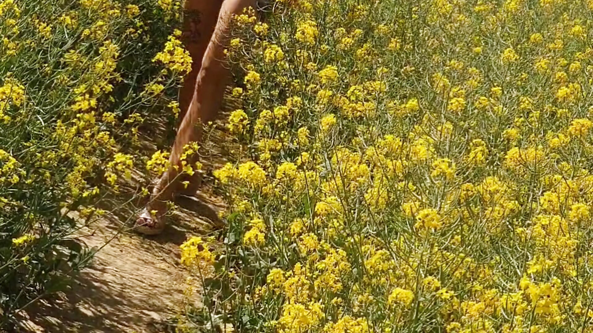 Summer - video by Jassy_Foxy cam model