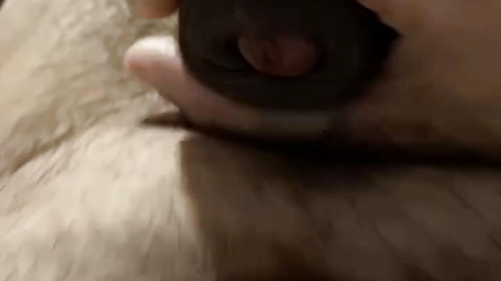 trim,FDAE5B19-F5CC-48F0-81AF-9762402C27FB — filmik cvboy312018, modela(-lki) na kamerkach