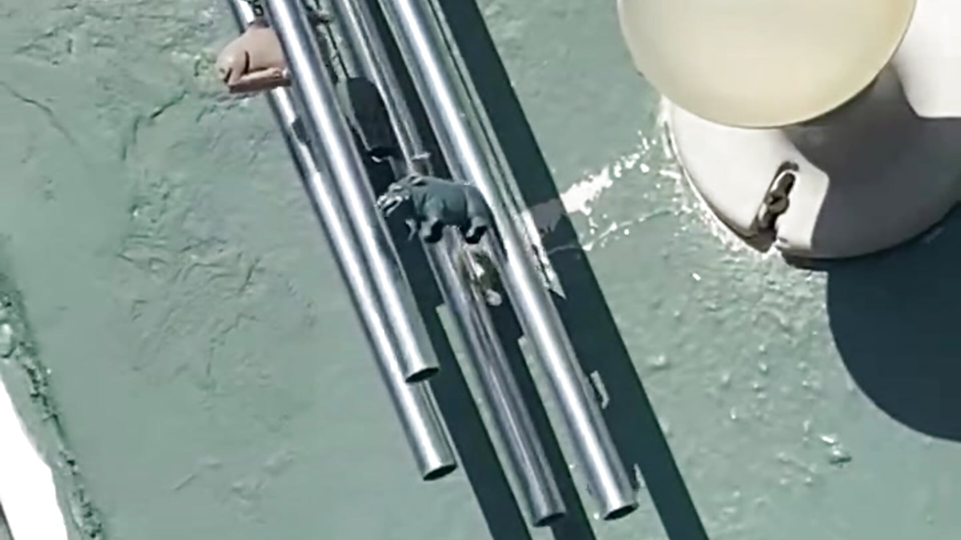 trim,21BEF734-2BC9-411F-A256-0E4219806871 - video di jasyra14 modella di cam