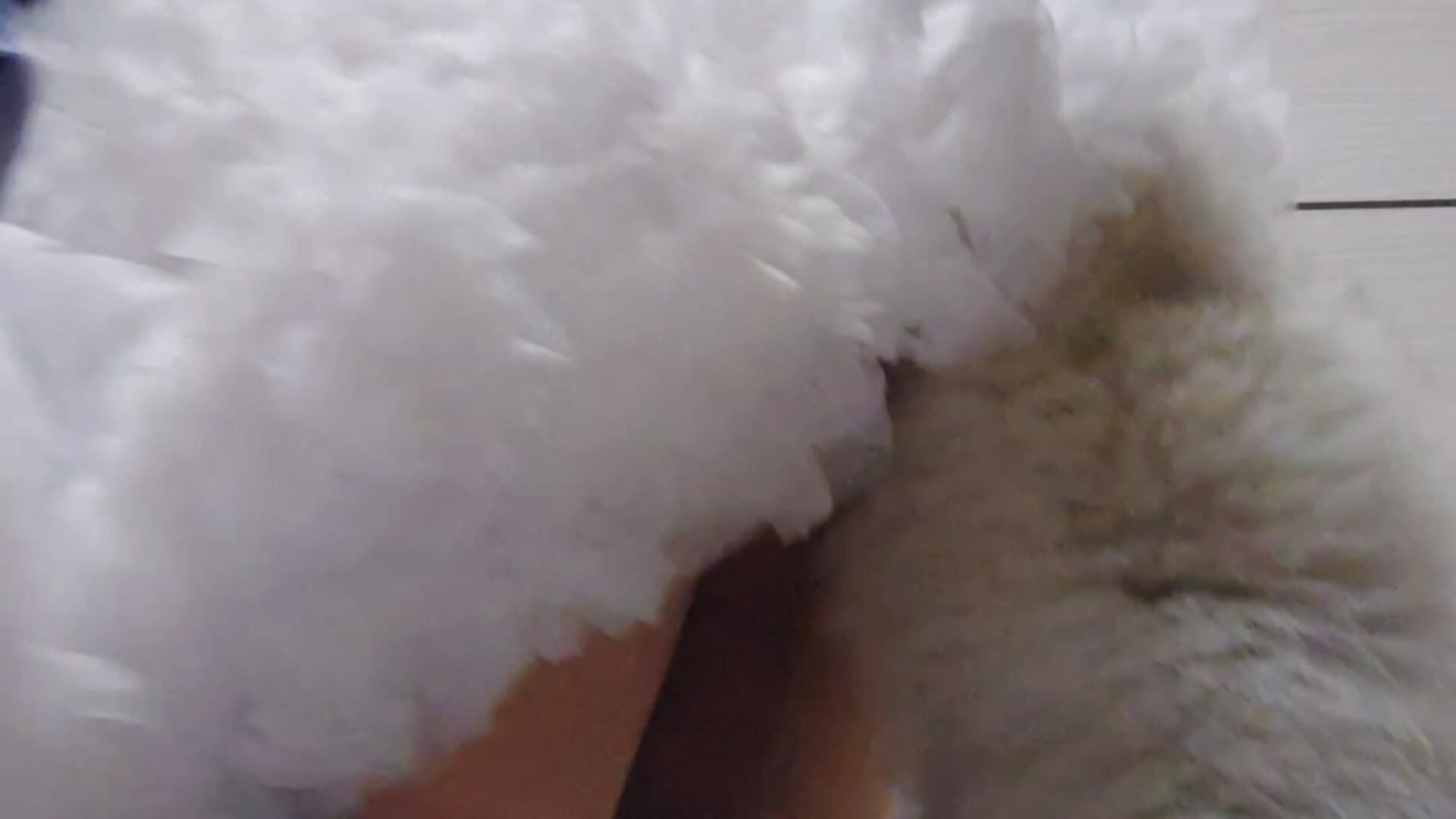 fur tail - video di fur_love0 modella di cam