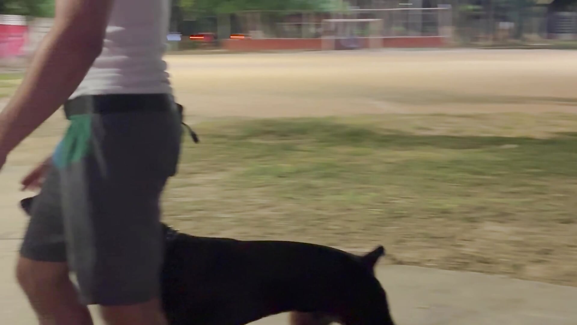 IMG_2781 - vídeo de itstonnyX modelo de câmara