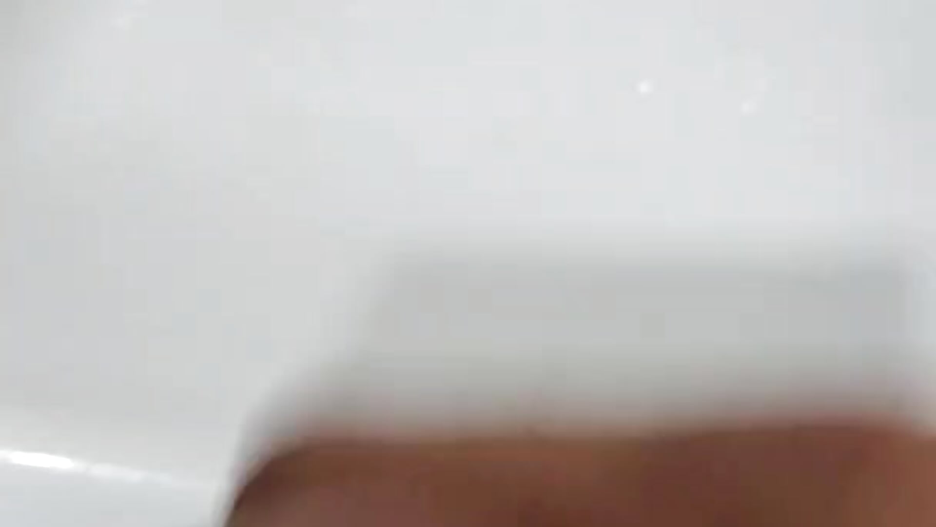 1000055081