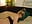 Fuck me Doggy till I finger my ASS - video by mbcaanna cam model
