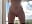 Risky Dildo Fuck on my Window Front - video by mbcaanna cam model