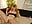Please fuck me - video by mbcaanna cam model