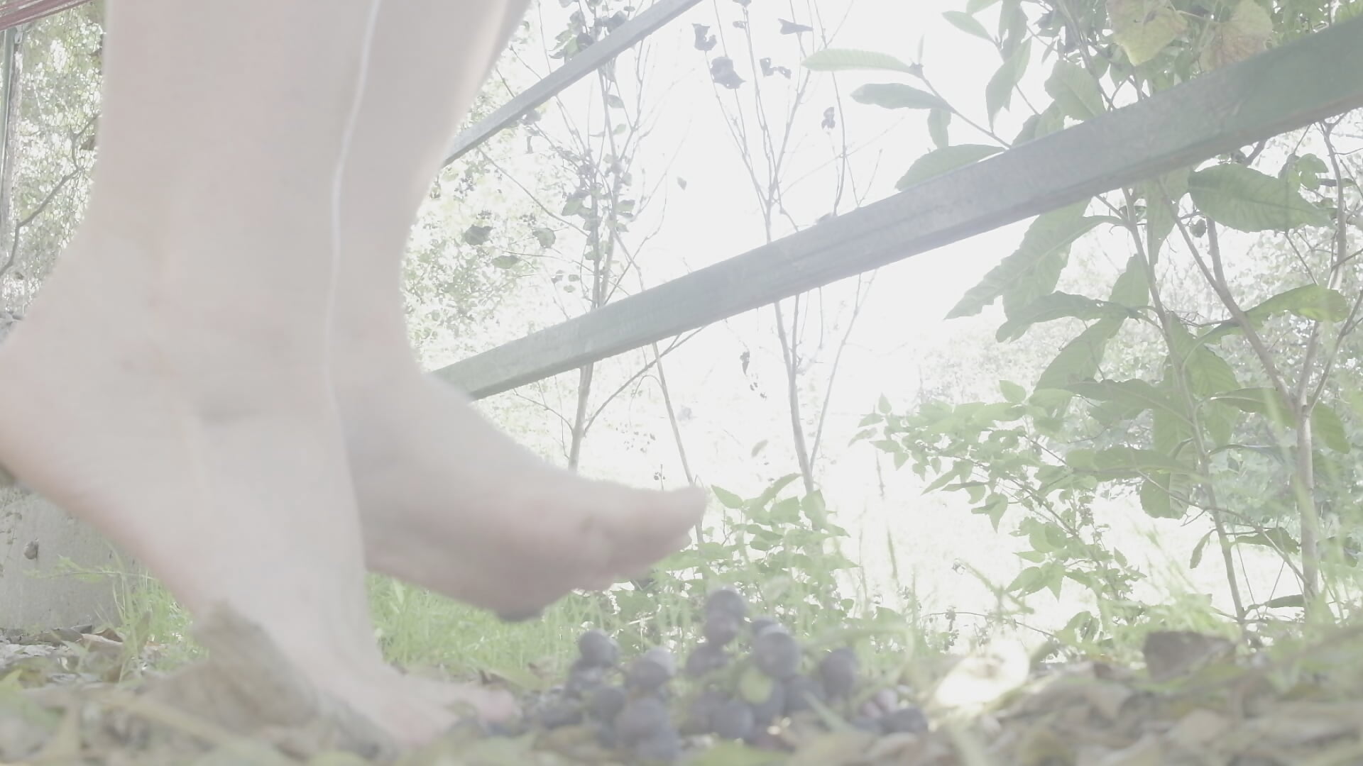 stepping on berry with my feet #dirtyfeet - RubyLynxx主播的视频
