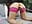 🔥Doggy, pink nylon, ass hole #part 5443🔥 - angel_eyees 님의 동영상