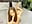 🔥Blowjob, feet pose, anklets #part 2🔥 - angel_eyees 님의 동영상
