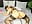 🔥Doggy, black nylon, ass hole #part 2🔥 - angel_eyees 님의 동영상