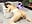 🔥White Fishnet stockings, ass hole, doggy #part 3🔥 - angel_eyees 님의 동영상