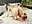 🔥Doggy, ass hole, red heels #part 15🔥 - angel_eyees 님의 동영상